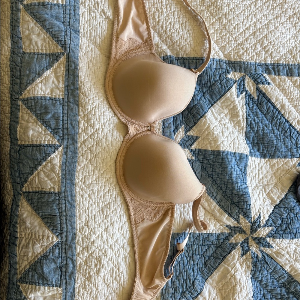 Anita Nude Bra with Lace Accents
